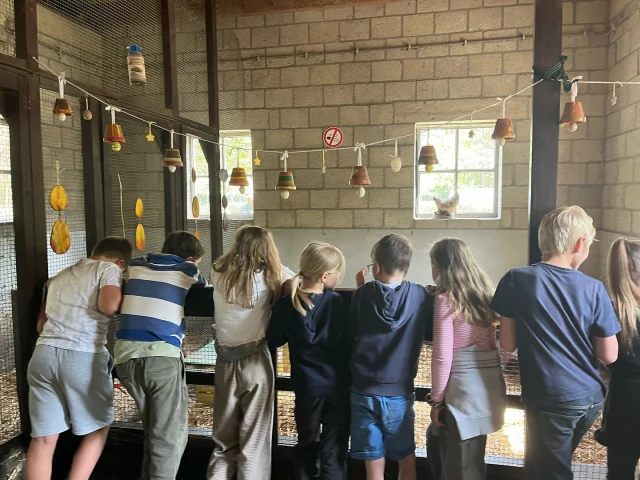 Gisteren heeft het 3de leerjaar de handen uit de mouwen gestoken: brood gebakken 🍞, dieren 🐏🐄🐴gekamd en geknuffeld maar vooral heel wat bijgeleerd over het boerderijleven! 🚜– wat een fijne dag!”