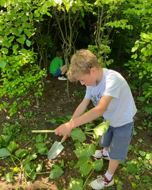 Elke maandag werken de leerlingen van het 5de vol enthousiasme in de moestuin.  Zaaien, planten, verspenen,… top-dagen! 🌱🪴🤩