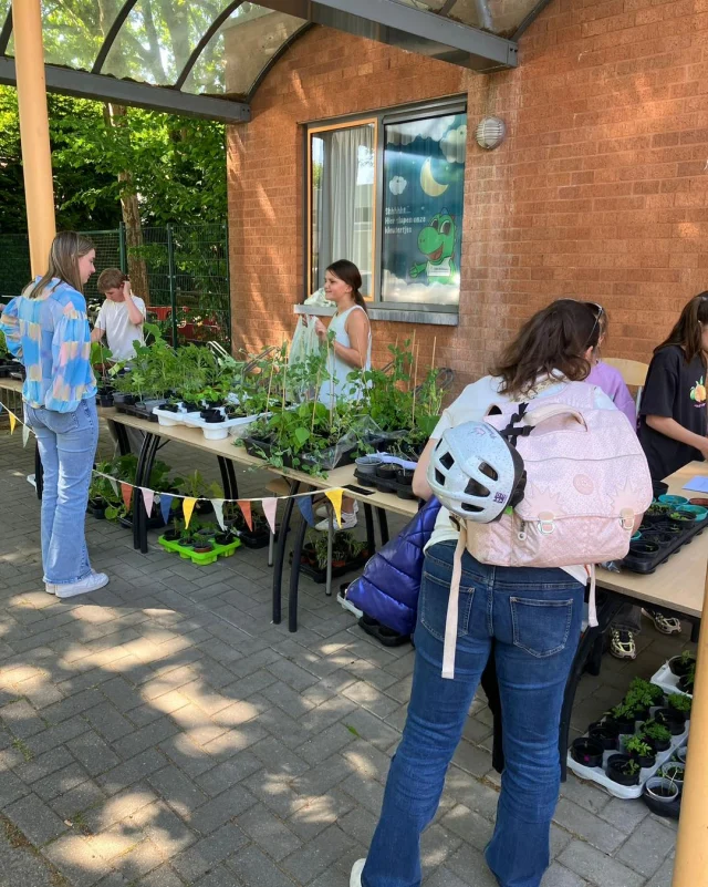 We hielden plantjes-verkoop 🪴🌱 met allemaal zelf uitgezaaide gewassen! 💚🌼