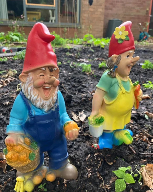 Bedrijvigheid in de moestuin.  De laatste zaailingen krijgen een plekje. 🌱🪴💚 Maak kennis met onze 2 nieuwe moestuin-kabouters: Filemon en Georgette. ❤️💛